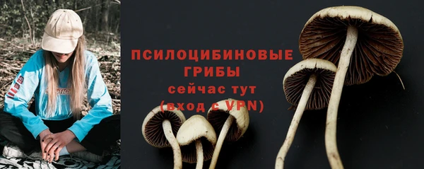 твердый Дмитриев