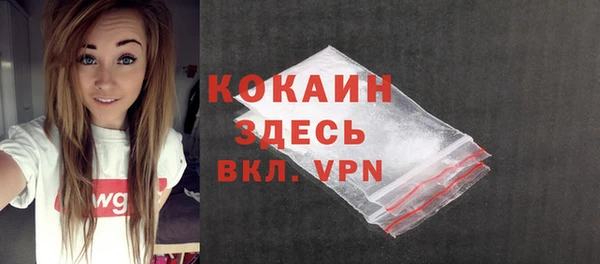твердый Дмитриев