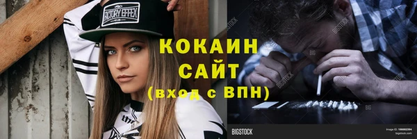 твердый Дмитриев