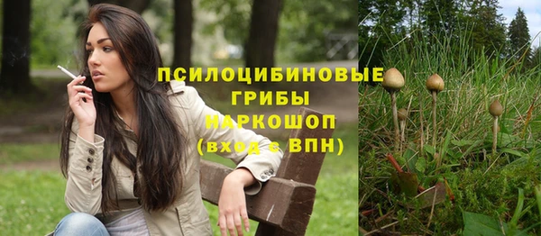 твердый Дмитриев