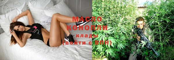 твердый Дмитриев