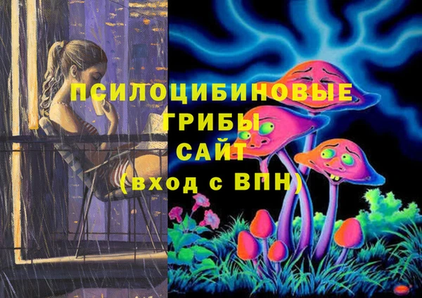твердый Дмитриев