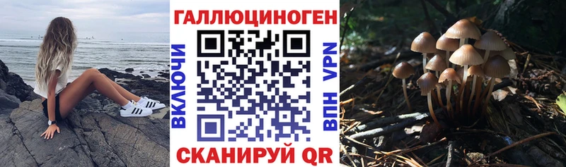 Псилоцибиновые грибы мицелий  Кушва 
